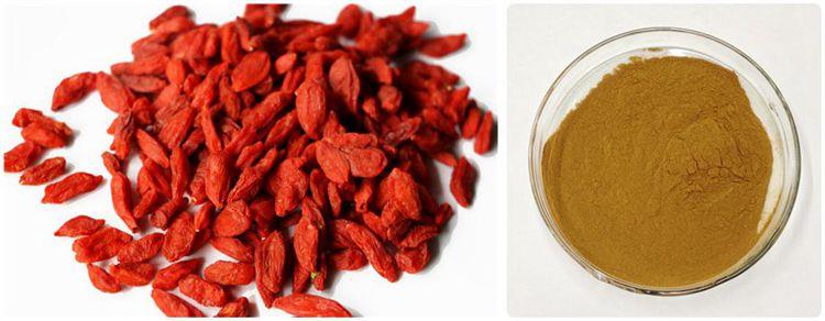 product-1-1 Goji Berry Extract Powder