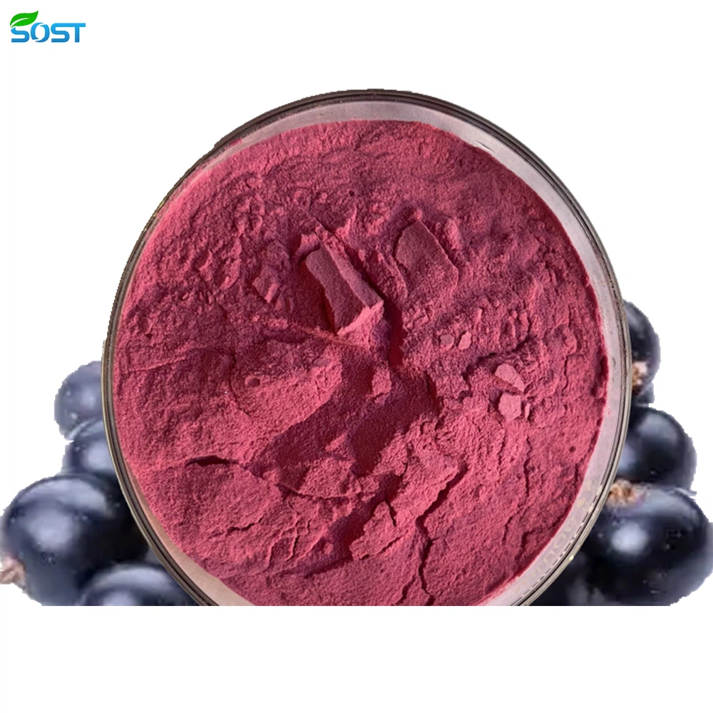 Acai powder2 Acai powder2