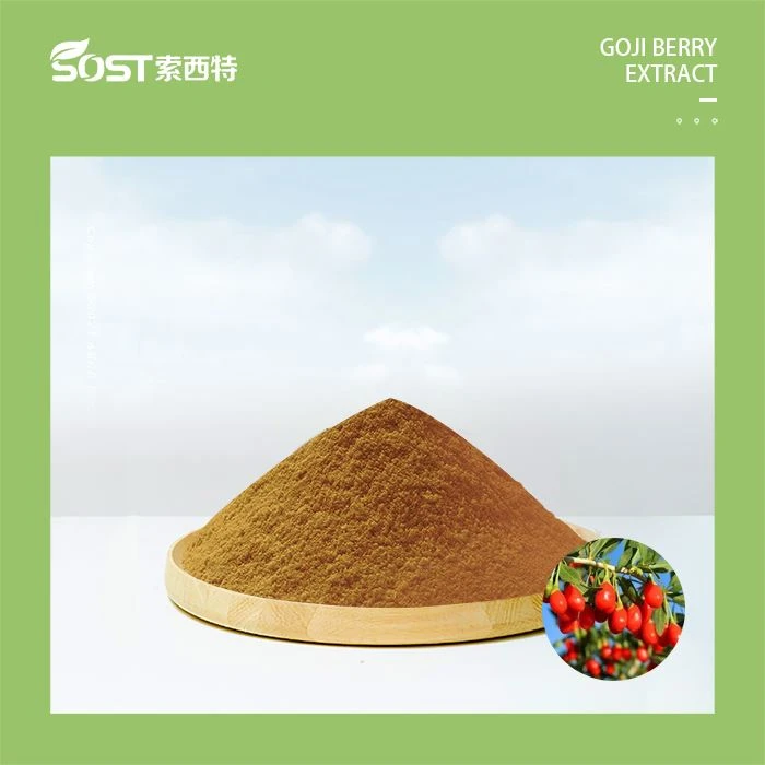 Goji Berry Extract Powder