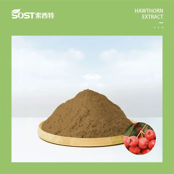 Bột chiết xuất táo gai