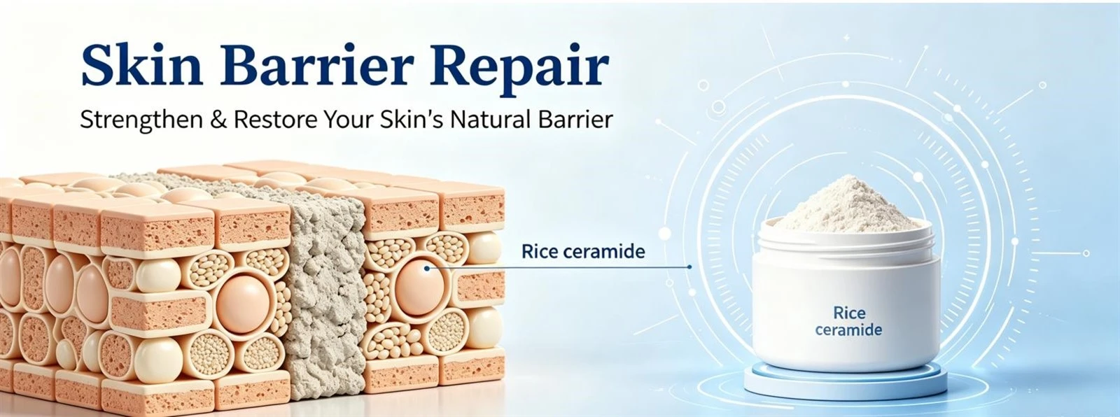 rice ceramide2 rice ceramide2
