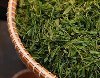 Bột trà so với bột trà hòa tan