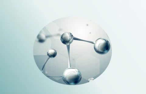 Rice Bran Extract Ceramide Rice Bran Extract Ceramide