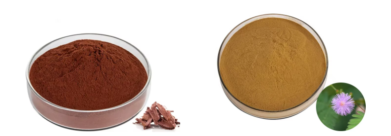 Mimosa Root Bark Extract Mimosa Root Bark Extract