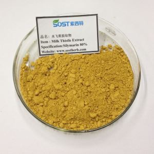 Chiết xuất Silybum Marianum