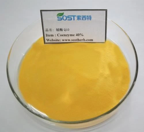 Coenzyme Q10 Bulk Powder