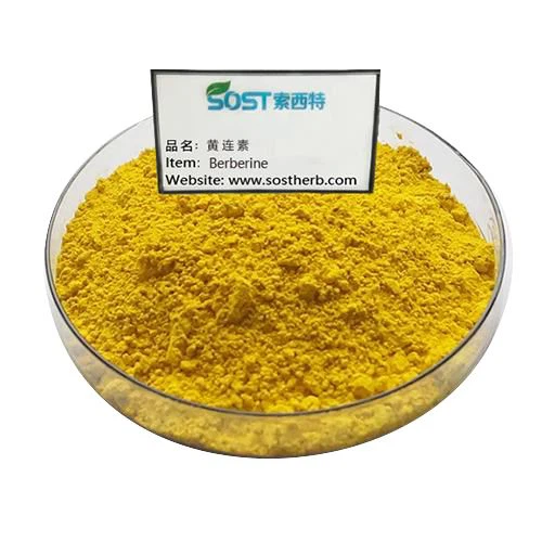Berberine Capsules Powder