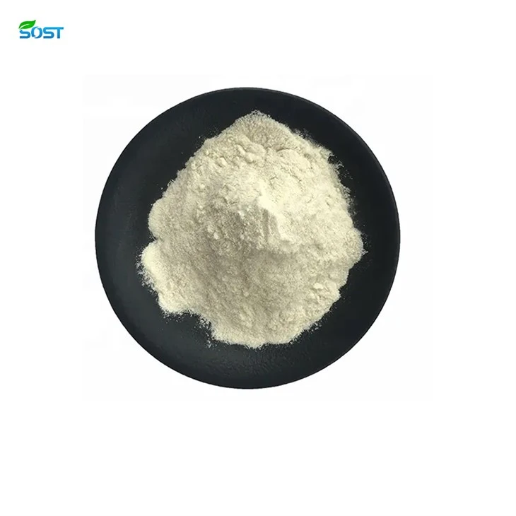 Sea Cucumber Peptide Powder