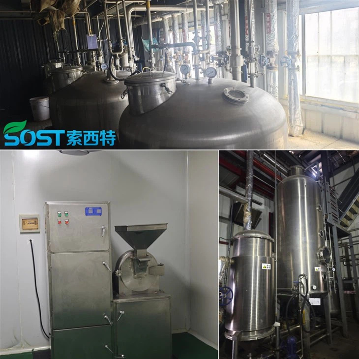Alpha Glucosyl Rutin Powder high quality